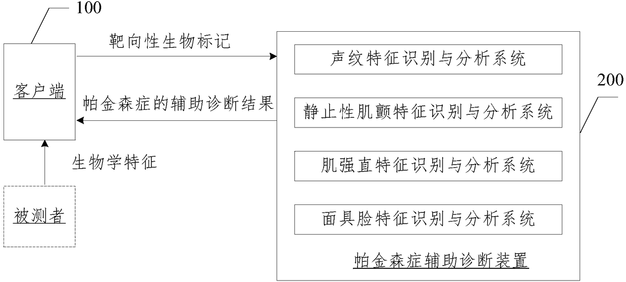 Intelligent auxiliary Parkinson diagnosis method and device based on biological characteristics