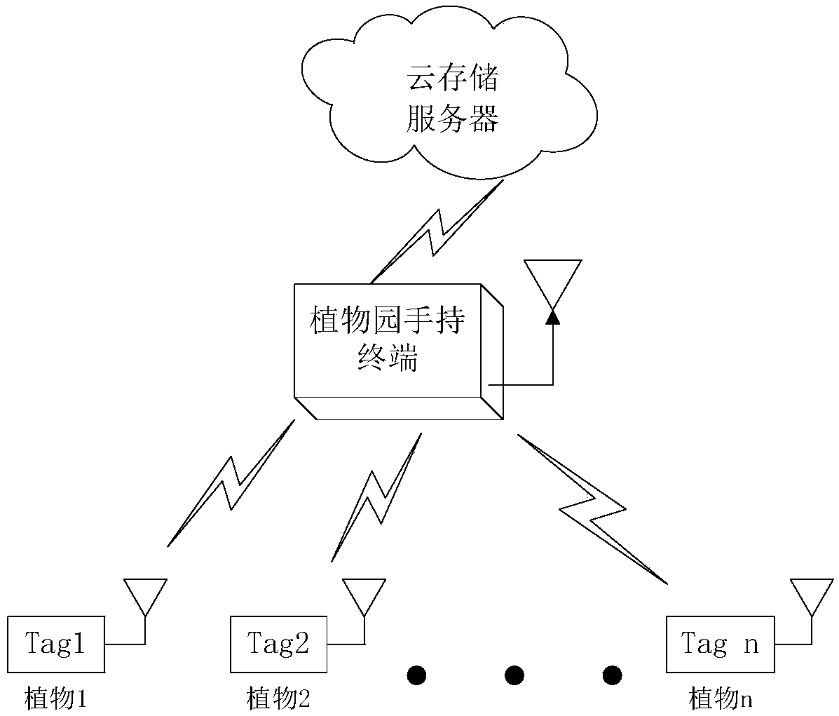 Intelligent botanical garden by radio frequency identification and cloud service, and working method