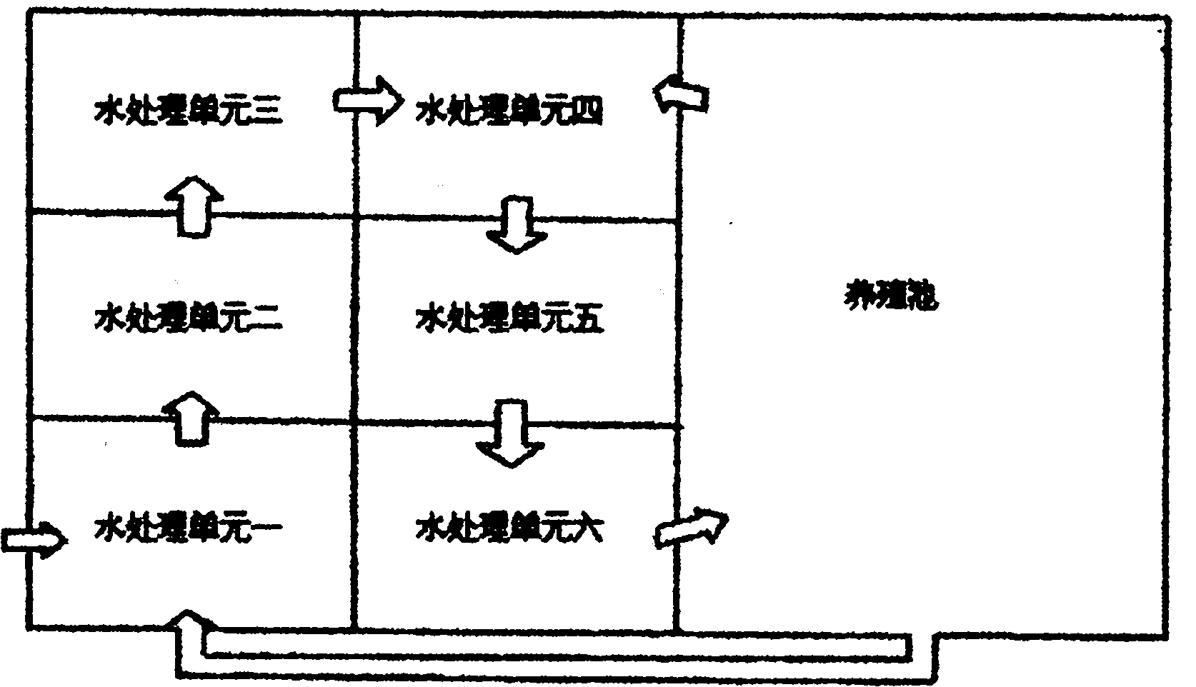 Cyprinuse carpio circulating water culture system with water-saving and ornamental functions