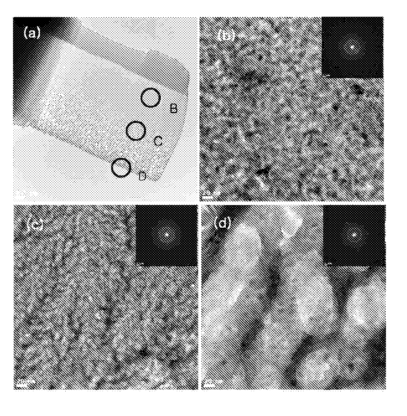 Negative  active  material  for secondary  battery  and  method  of manufacturing  the  same