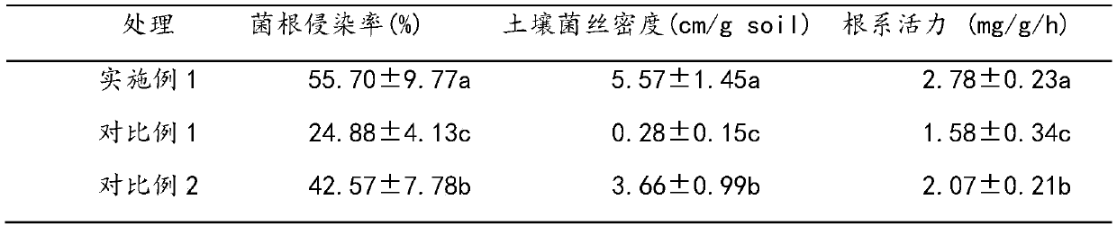 Method for improving quality of citrus fruits by using inoculation of arbuscular mycorrhizal fungi