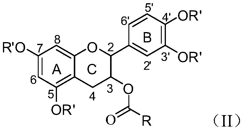 Method for preparing 3-ester group catechin