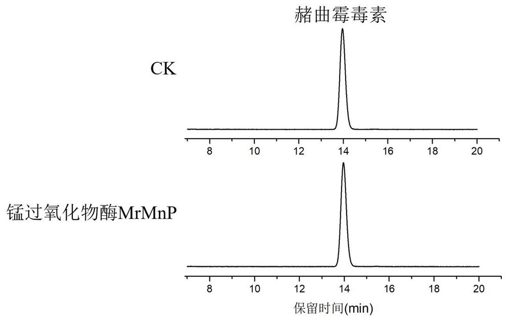 Application of manganese peroxidase in degradation of citrinin and method