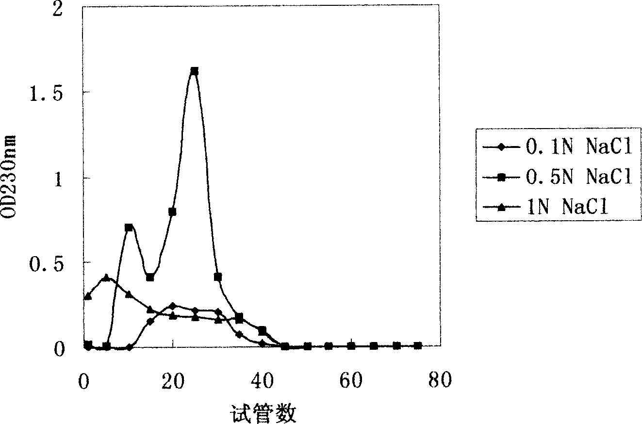 Extractive of Abalone mushroom, extraction method and application thereof