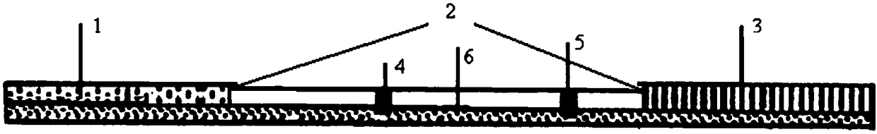 Time-resolved fluorescent immunochromatographic test strip for detecting tetracyclines and preparation method and application thereof