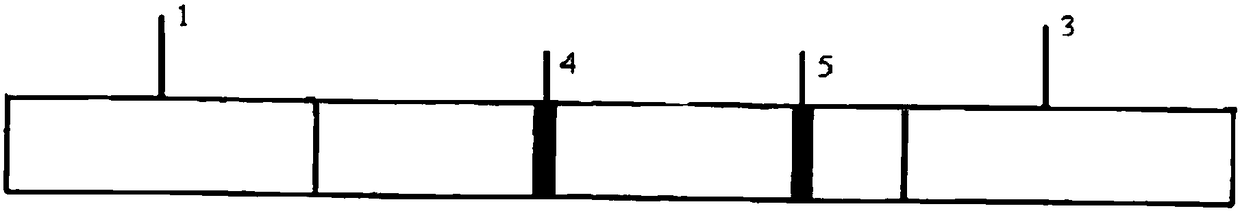 Time-resolved fluorescent immunochromatographic test strip for detecting tetracyclines and preparation method and application thereof