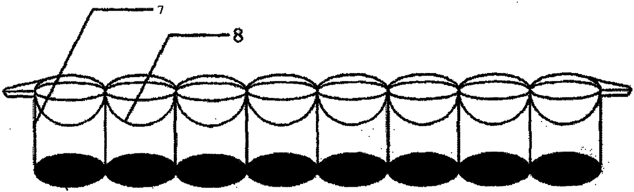 Time-resolved fluorescent immunochromatographic test strip for detecting tetracyclines and preparation method and application thereof