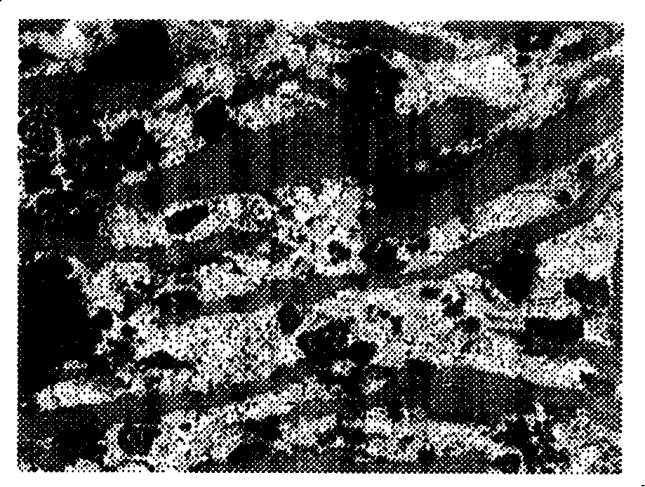 Powder metallurgy aviation brake material for large-scale airplane and producing method thereof