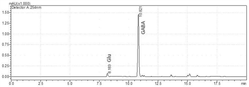 Lactobacillus brevis strain as well as culture method and application thereof