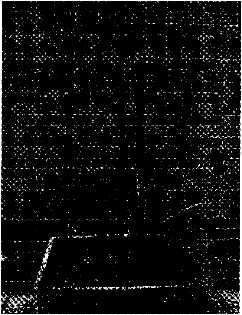 Method for removing heavy metals in soil