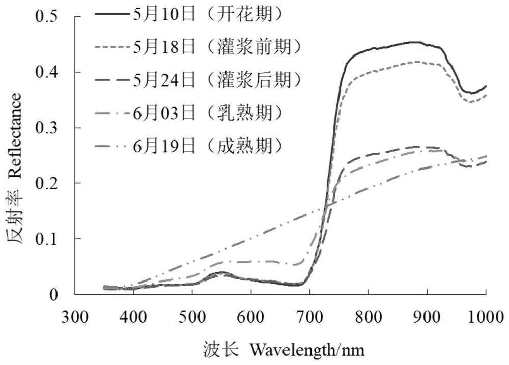 Based on d-f  <sub>g</sub> Remote Sensing Estimation Method of Winter Wheat Dynamic Harvest Index Based on Parameter Remote Sensing