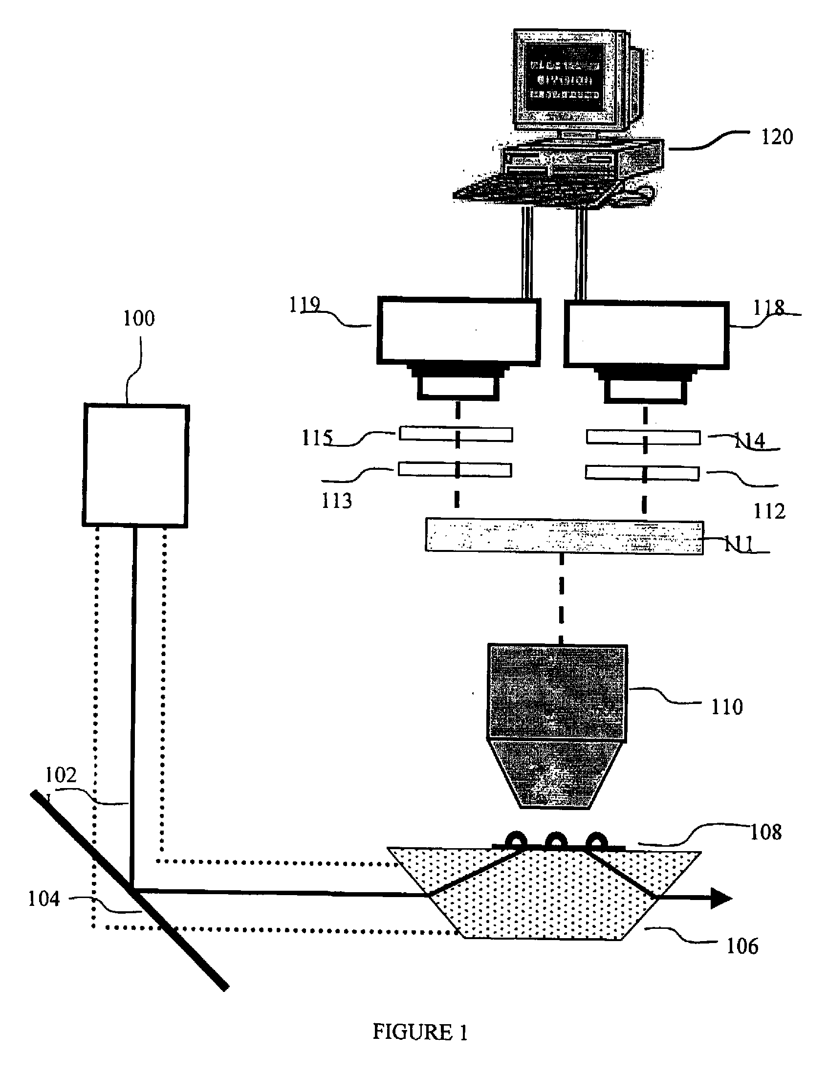 Methods for evaluating ribonucleotide sequences