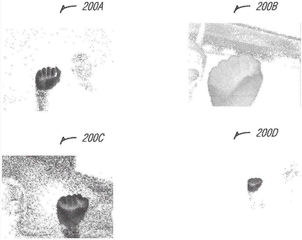 Multi-layer skin detection and fused hand pose matching