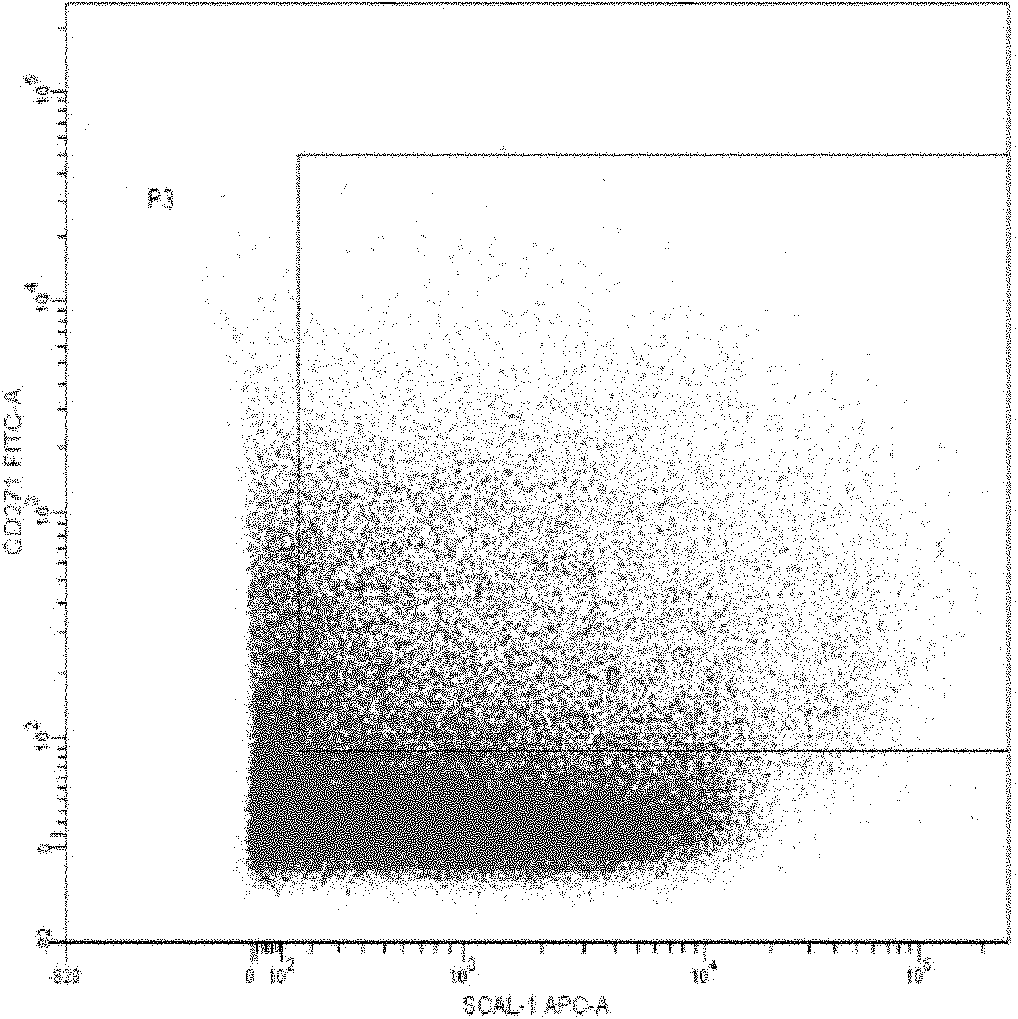 Adipose-derived stem cell separation culture method