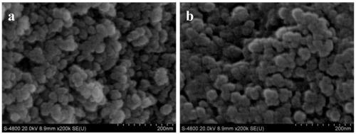 Preparation method and application of magnetically loaded ionic liquid microsphere immobilized cells