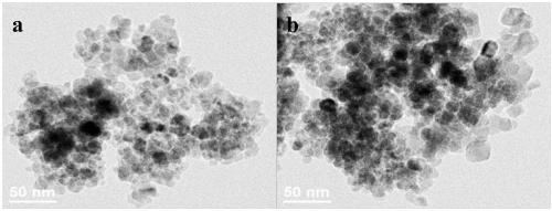 Preparation method and application of magnetically loaded ionic liquid microsphere immobilized cells