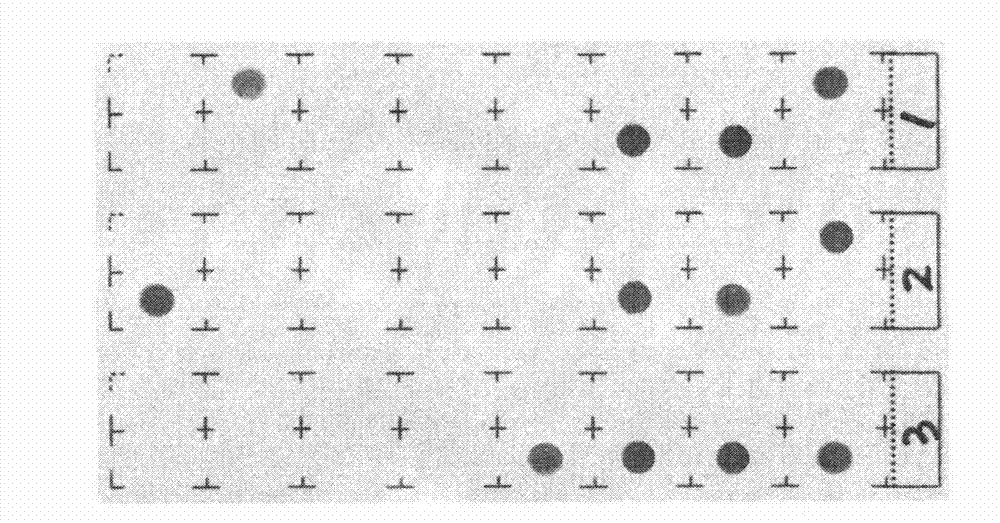 Kit for detecting genotyping and IL28-site polymorphism of hepatitis C virus (HCV)