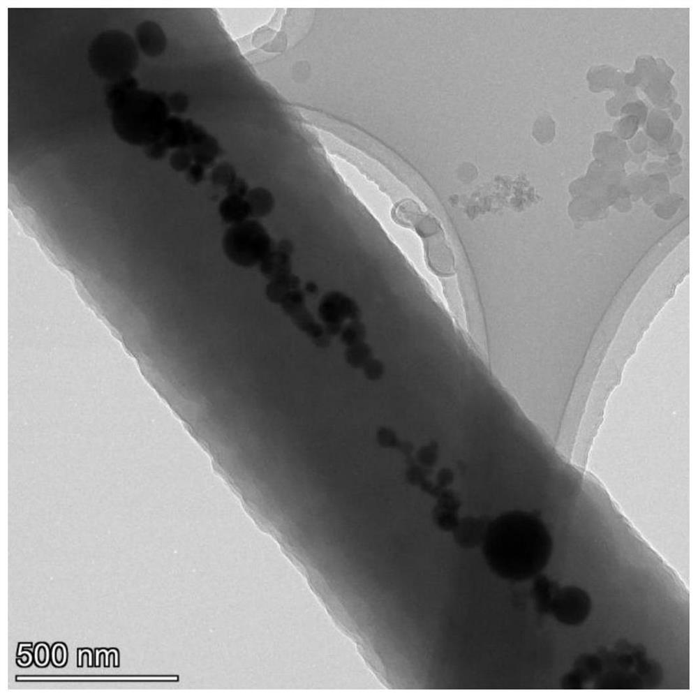 Preparation method, product and application of gradient-adjustable high-strength anti-deposition long-acting catalytic membrane