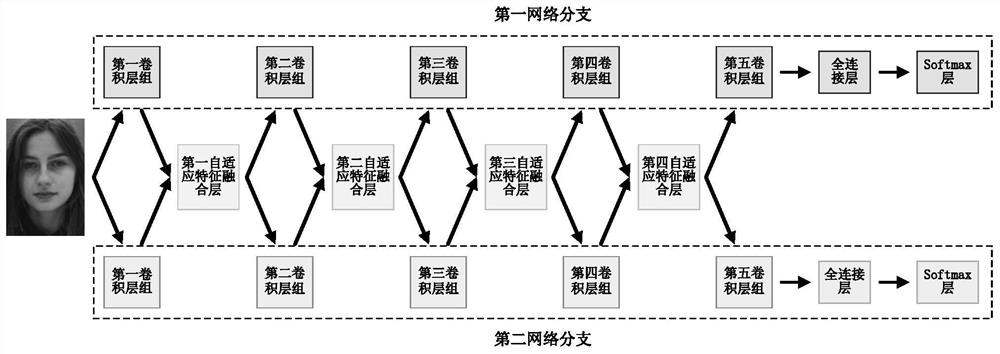 Multi-task face attribute classification method and system based on adaptive feature fusion