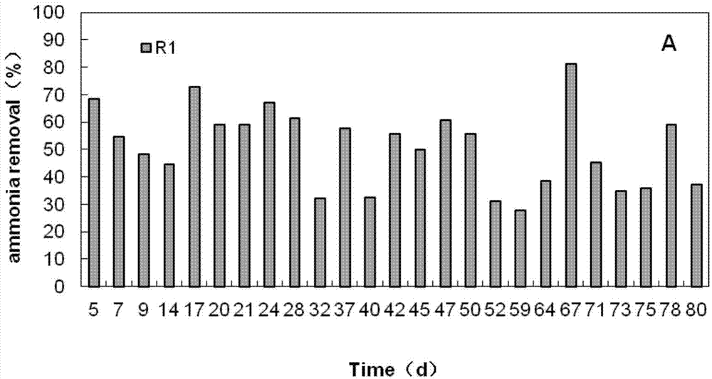 Method of removing paracetamol by applying vertical-current biological retaining system