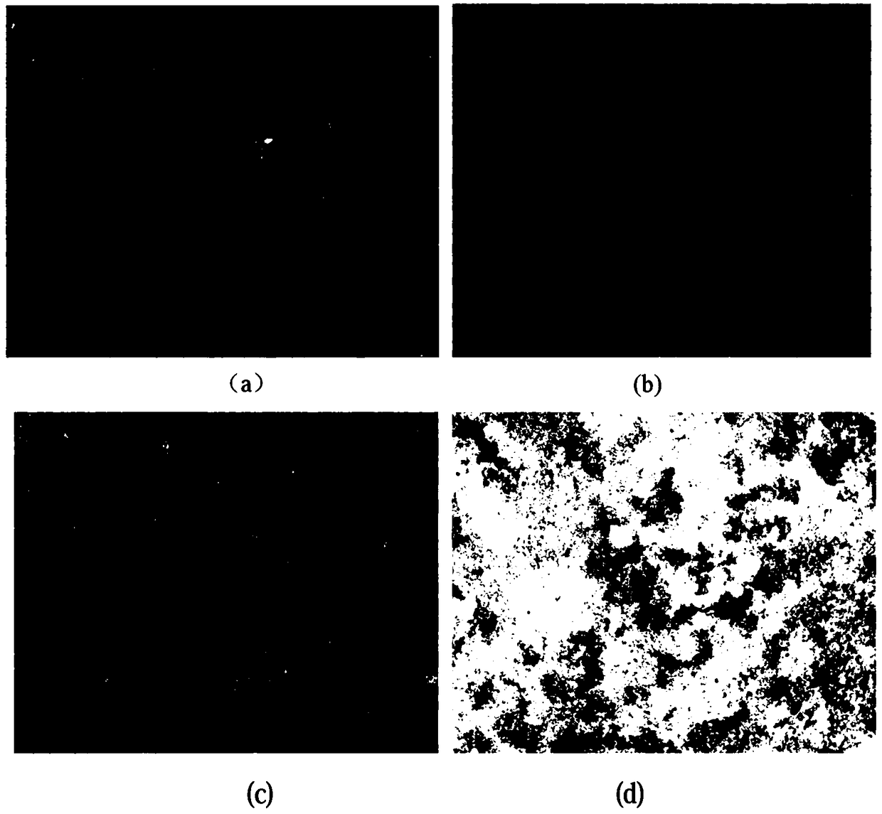 Method for monitoring hazard of Eospalax baileyi and Ochotona curzoniae based on micro UAV technology