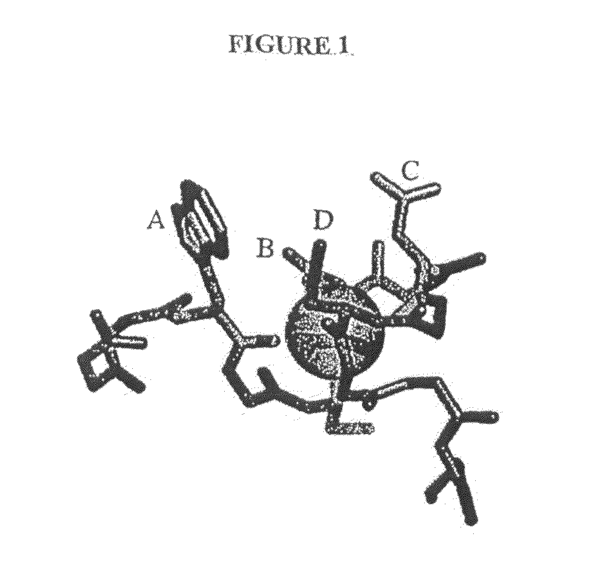 Compositions Comprising Receptor-Associated Protein (RAP) Variants Specific for CR-Containing Proteins and Uses Thereof