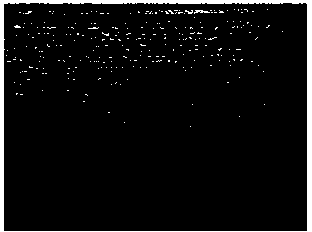 Method for preparing Fe-Mn-Si shape memory alloy coating via laser cladding