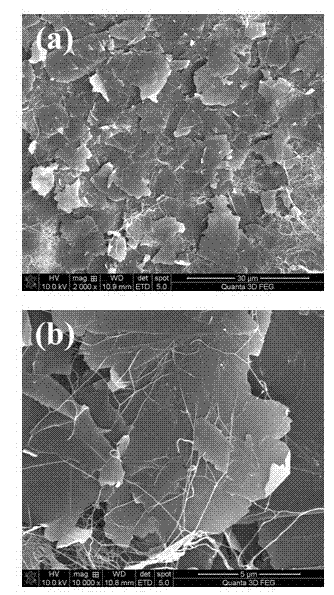 Bacterial cellulose conductive thin film and preparation method thereof