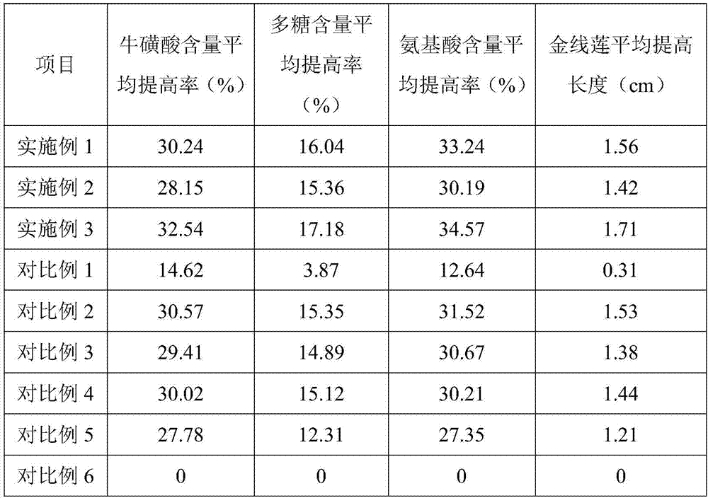 Enoki mushroom culture medium and method for co-producing enoki mushrooms and anoectochilus formosanus