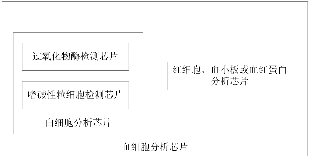 Blood cell analysis chip, analysis meter and analysis method