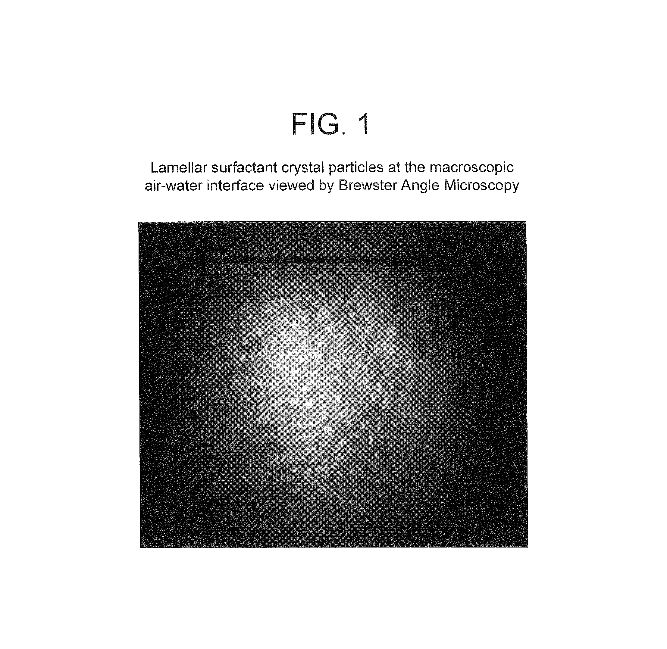 Aqueous foams, food products and a method of producing same