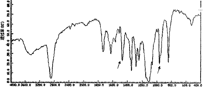 Hydrophilic polymer of resveratrol conjugate and preparing method thereof