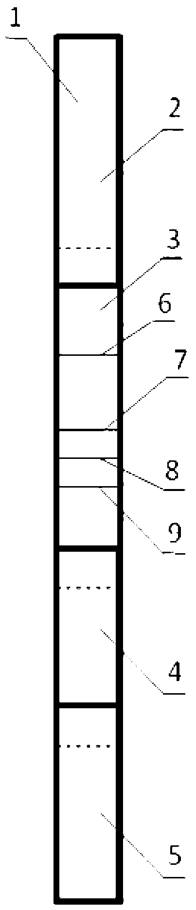 Immunochromatography test strip for synchronously detecting mixed pollution of aflatoxin, ochratoxin A and zearalenone, and preparation method