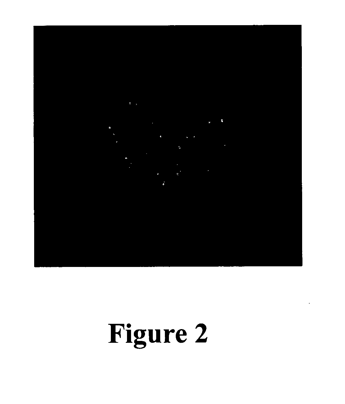 Cell processing and/or enrichment methods