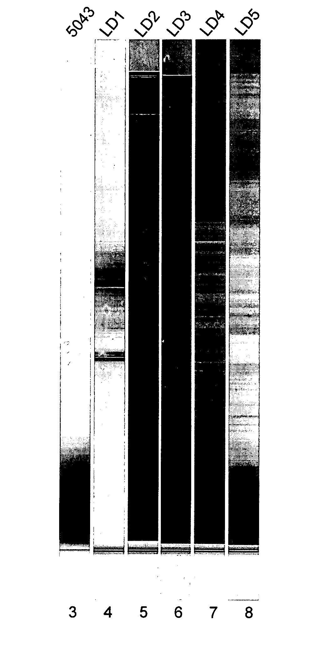 Determination of RNA quality