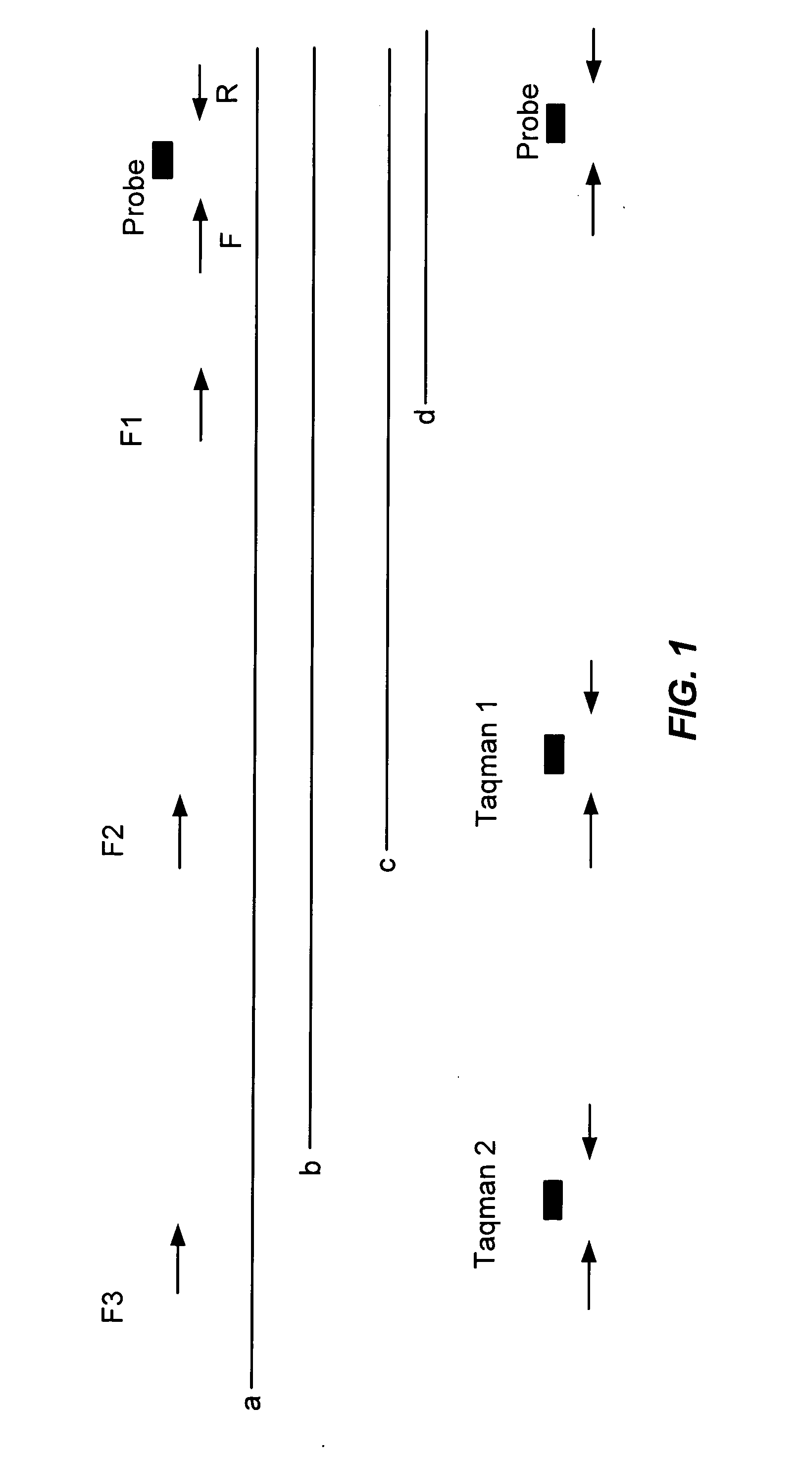 Determination of RNA quality