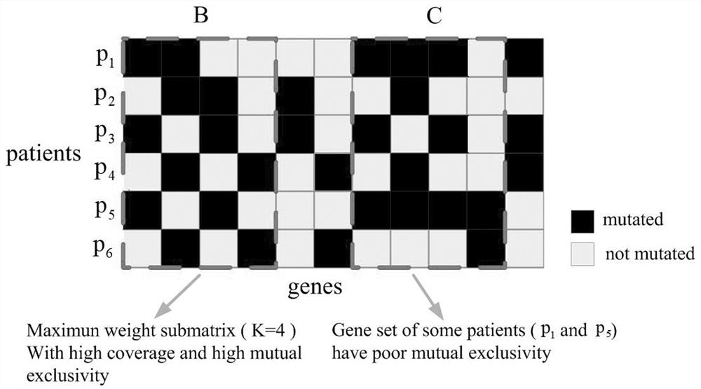 Parameter-free nonlinear intelligent optimization method for identifying cancer driving pathway