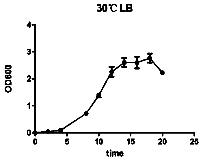 Pseudomonas stutzeri mutant strain as well as construction method and application thereof