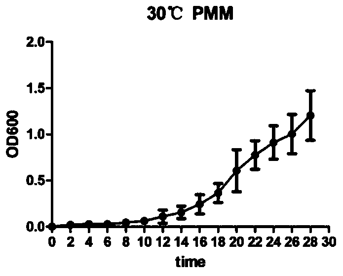 Pseudomonas stutzeri mutant strain as well as construction method and application thereof