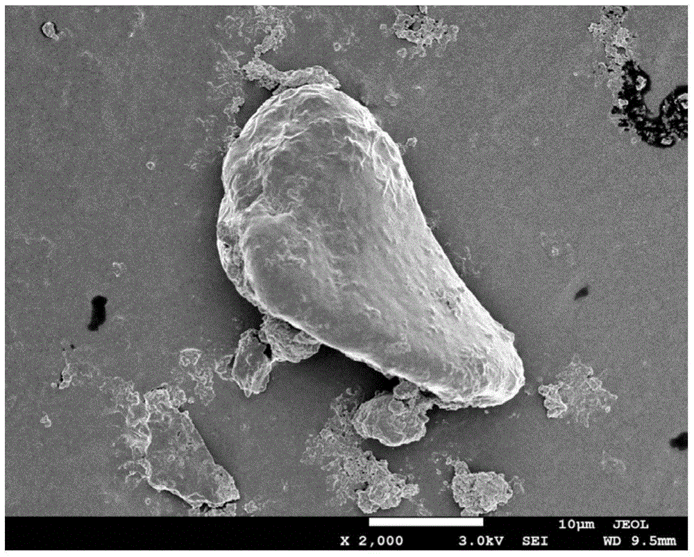 A single-phase zrb prepared by sol-gel method using xylitol as carbon source  <sub>2</sub> powder method