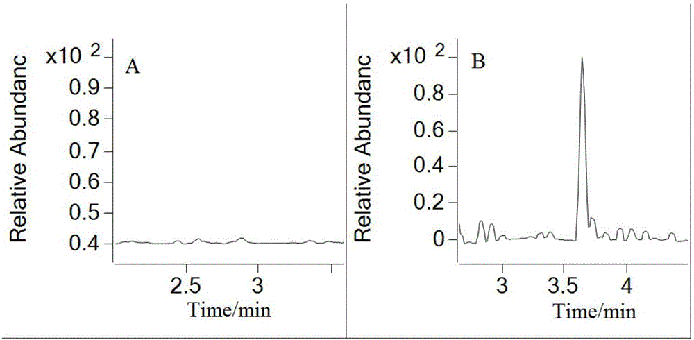 Method for quantitatively detecting concentration of folic acid in rat plasma through HPLC-MS/MS (high-performance liquid chromatography-mass spectrometry/mass spectrometry)