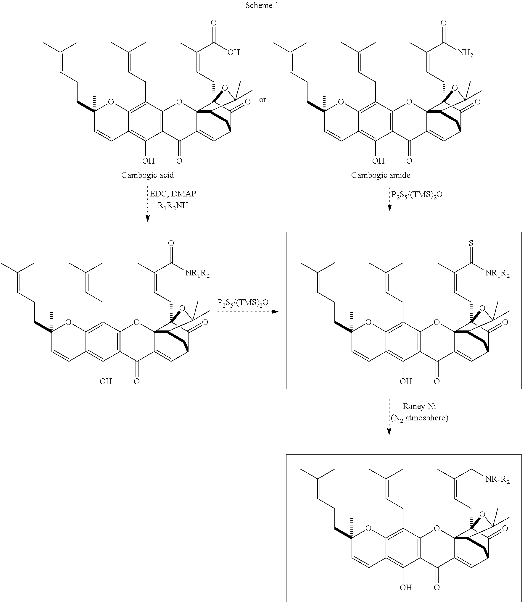 Gambogic amine, a selective trka agonist with neuroprotective activity