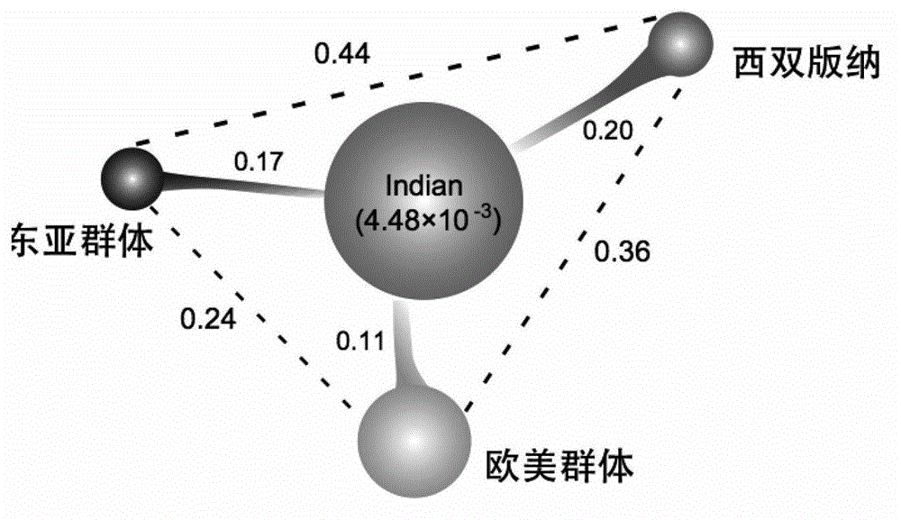 Cucumber fruit beta carotene content related SNP marker and its application