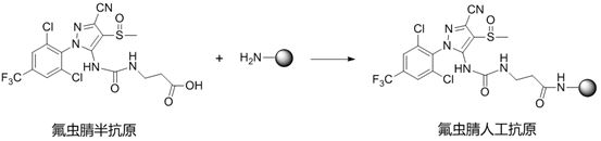 A kind of fipronil hapten and its synthesis method, artificial antigen, antibody and application