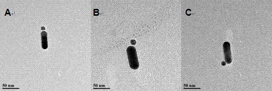 Binary plasma nanoparticle site specificity self-assembling method