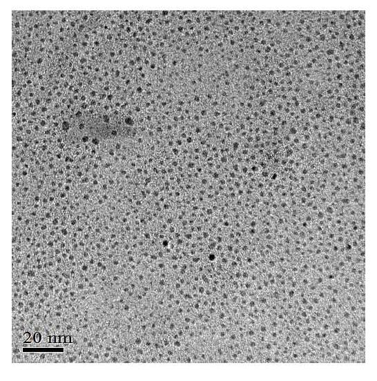 Hydrothermal method for preparing water-soluble graphene quantum dots