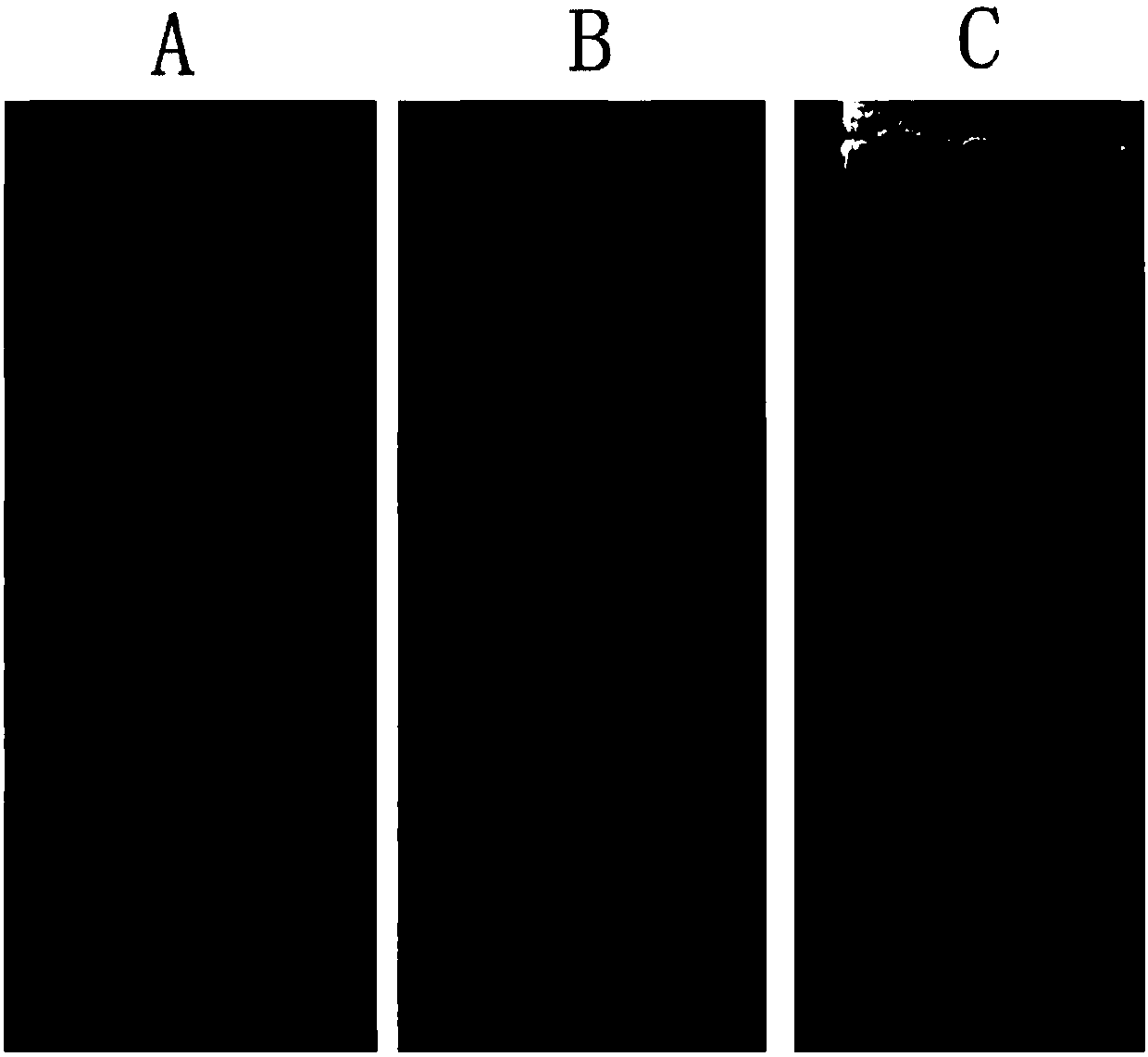 Preparation method of nano-gold, nano-gold and application