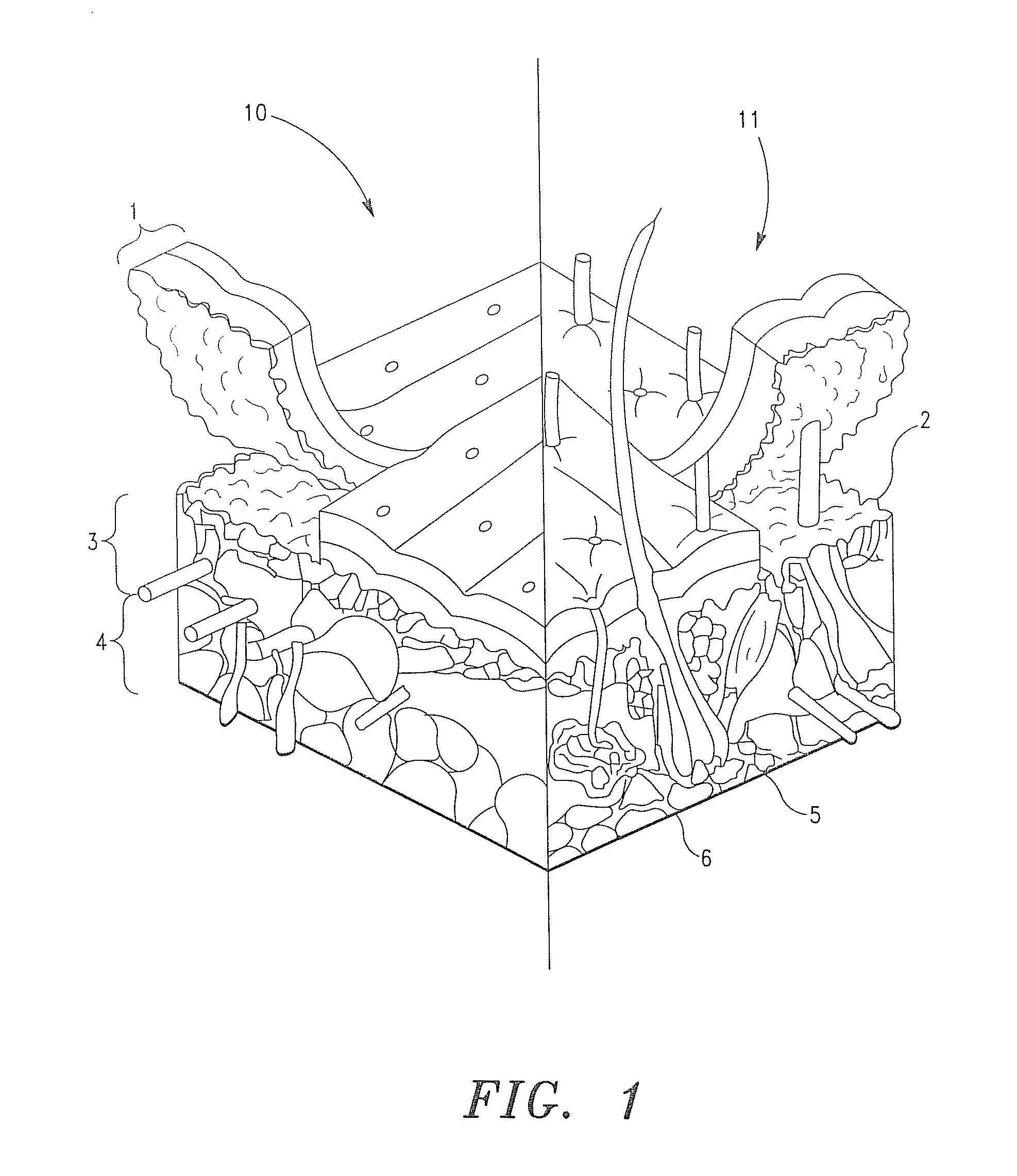 Compositions, Methods and Systems for Regenerative Cosmetics