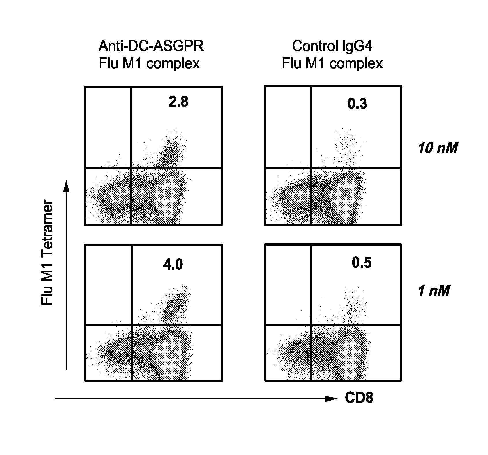 Agents That Engage Antigen-Presenting Cells Through Dendritic Cell Asialoglycoprotein Receptor (DC-ASGPR)