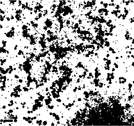 Oil-in-water type compound colistin nanoemulsion